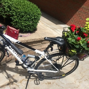 2016 Specialized Ariel White