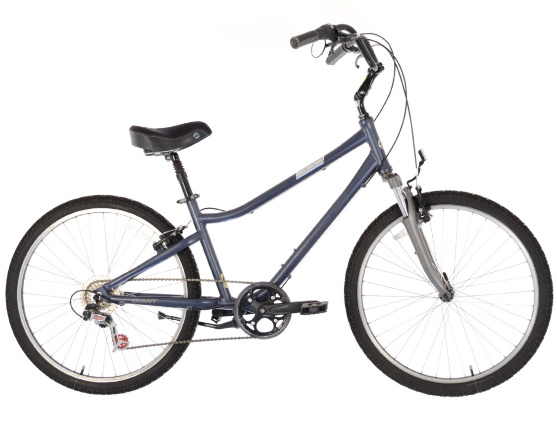 2008 Giant Suede