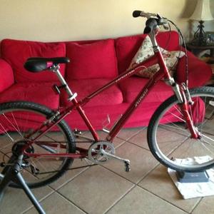 2007 Specialized  Red