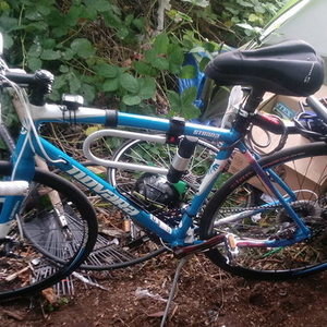2018 Specialized allez elite Blue