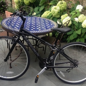 Ridgeback Black