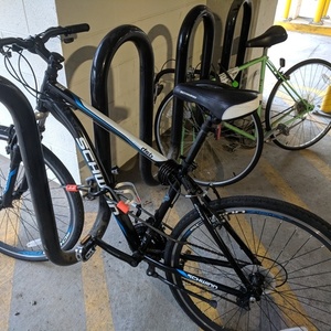 Schwinn DSB Hybrid Black and Blue