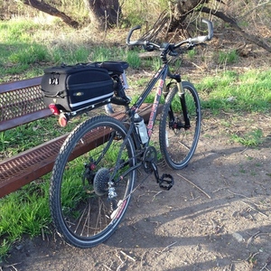 2009 Raleigh XXIX+G  Black