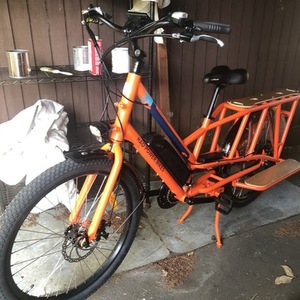 2018 Rad Power Bikes Radwagon Orange
