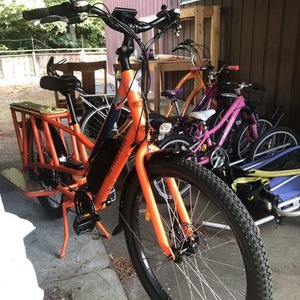 2018 Rad Power Bikes Radwagon Orange