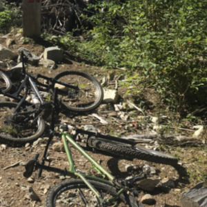 2015 Kona Honzo Green