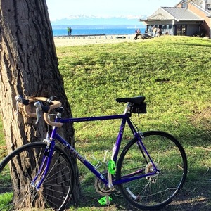 2005 Trek 1400 Purple