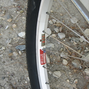 1980 Schwinn Cruiser White