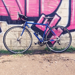 2014 All City Mr. Pink  Blue and White