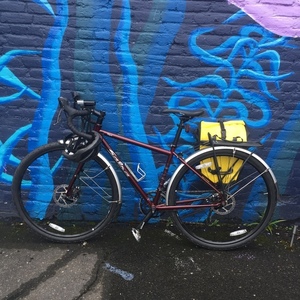 2017 Salsa Red