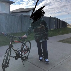 Schwinn Black