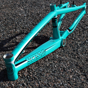 2017 Stay Strong SS For Life Teal