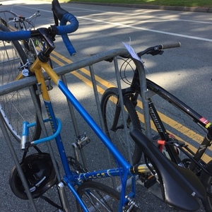 1986 Fuji Team Fuji Blue and Yellow or Gold