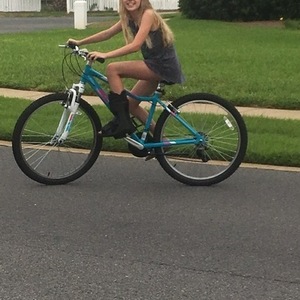 2018 Schwinn High Timber Teal