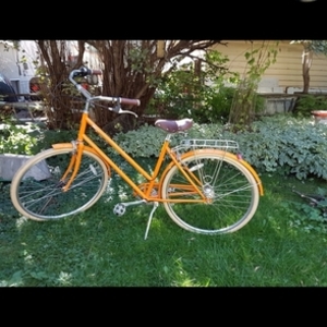 Brooklyn Bicycle Co. Willow Orange