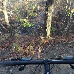 2014 Specialized Hardrock Disc 29 Green