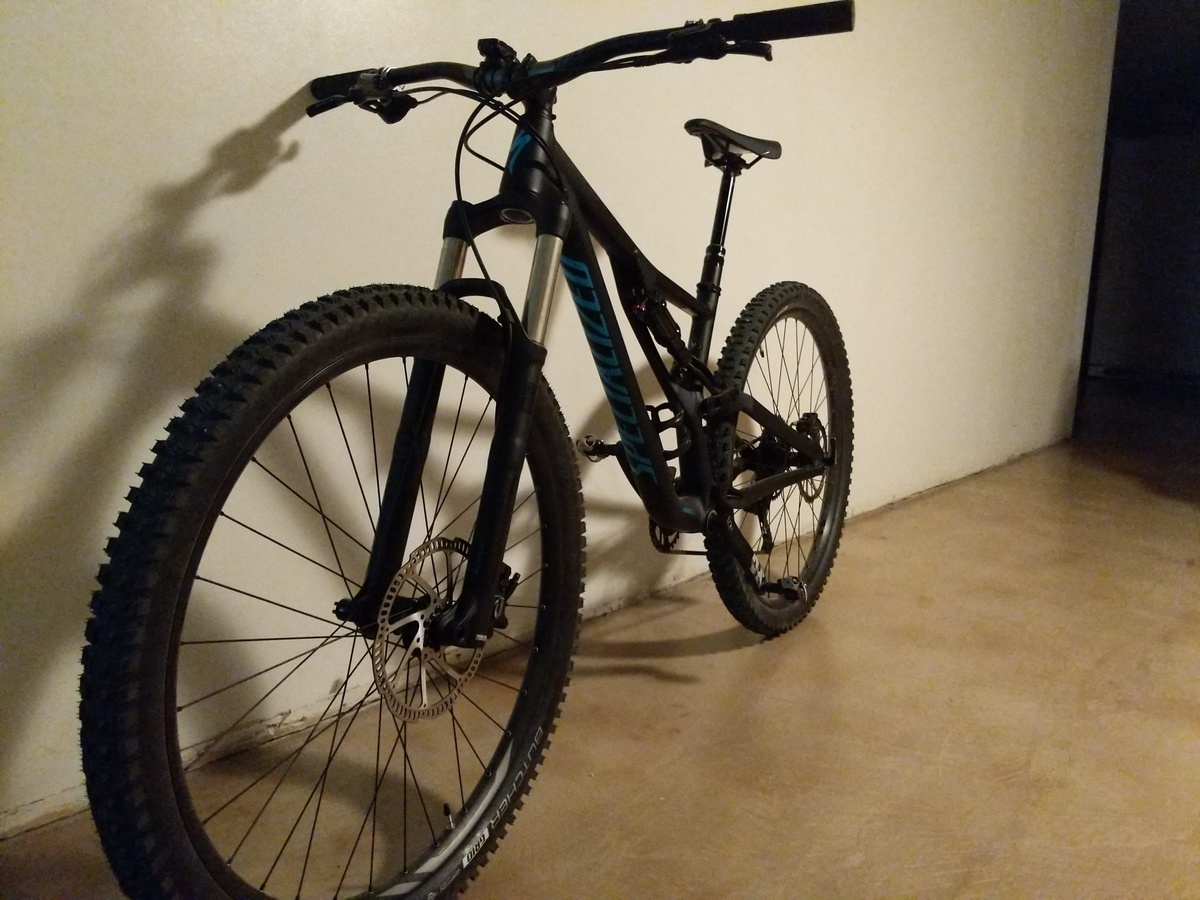 2019 stumpjumper 29er