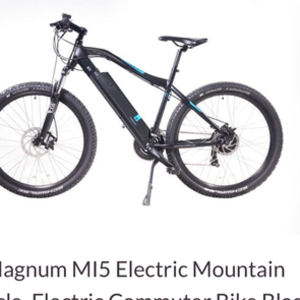 2018 Green path electric bike company Black with sky blue and gray letters and design on it Black