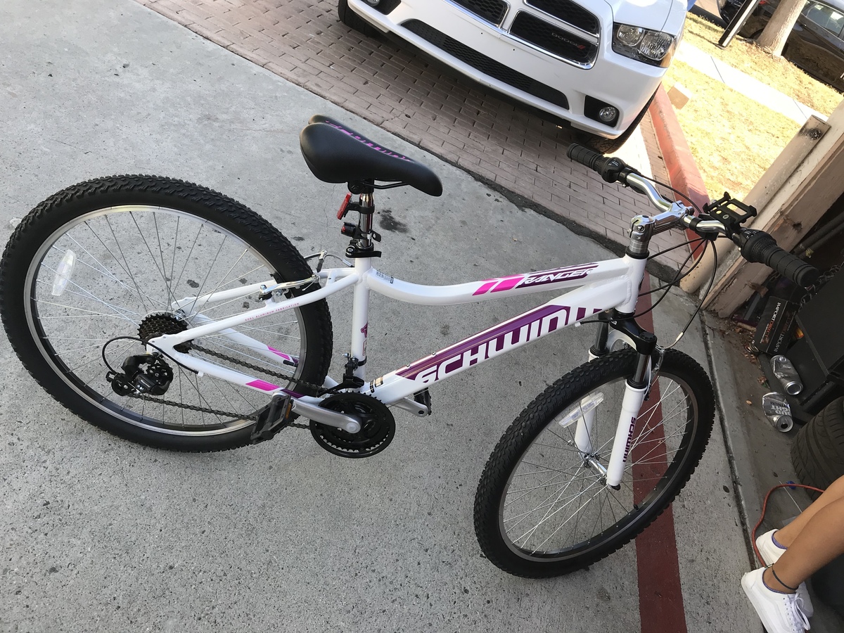 schwinn girls mountain bike