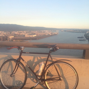 2006 Surly Steamroller  Brown