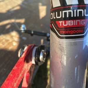 Mongoose Ledge 2.1 Silver, gray or bare metal