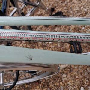 Schwinn Blue