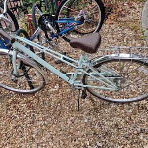 Schwinn Blue