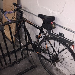 Raleigh Black