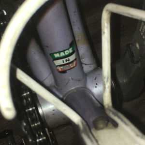 1988 Bianchi Brava Purple