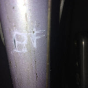 1988 Bianchi Brava Purple