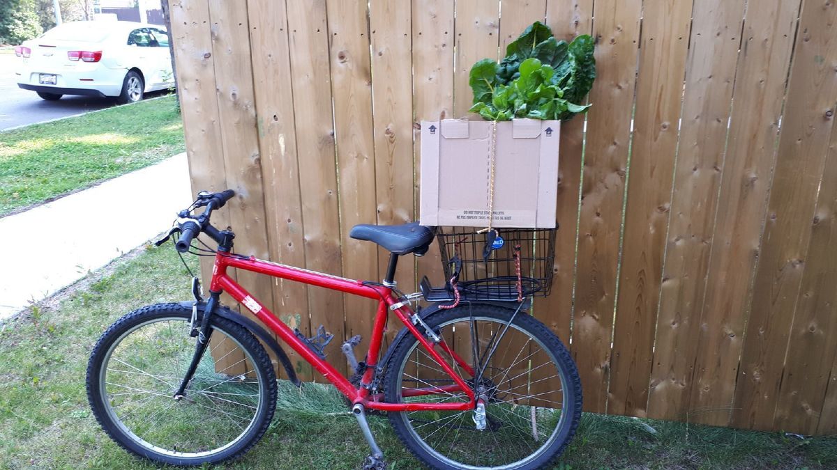 Bike photo