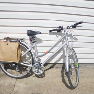 2009 Giant Transend Silver, gray or bare metal