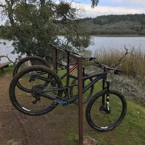 2017 Ibis Ripley LS Black