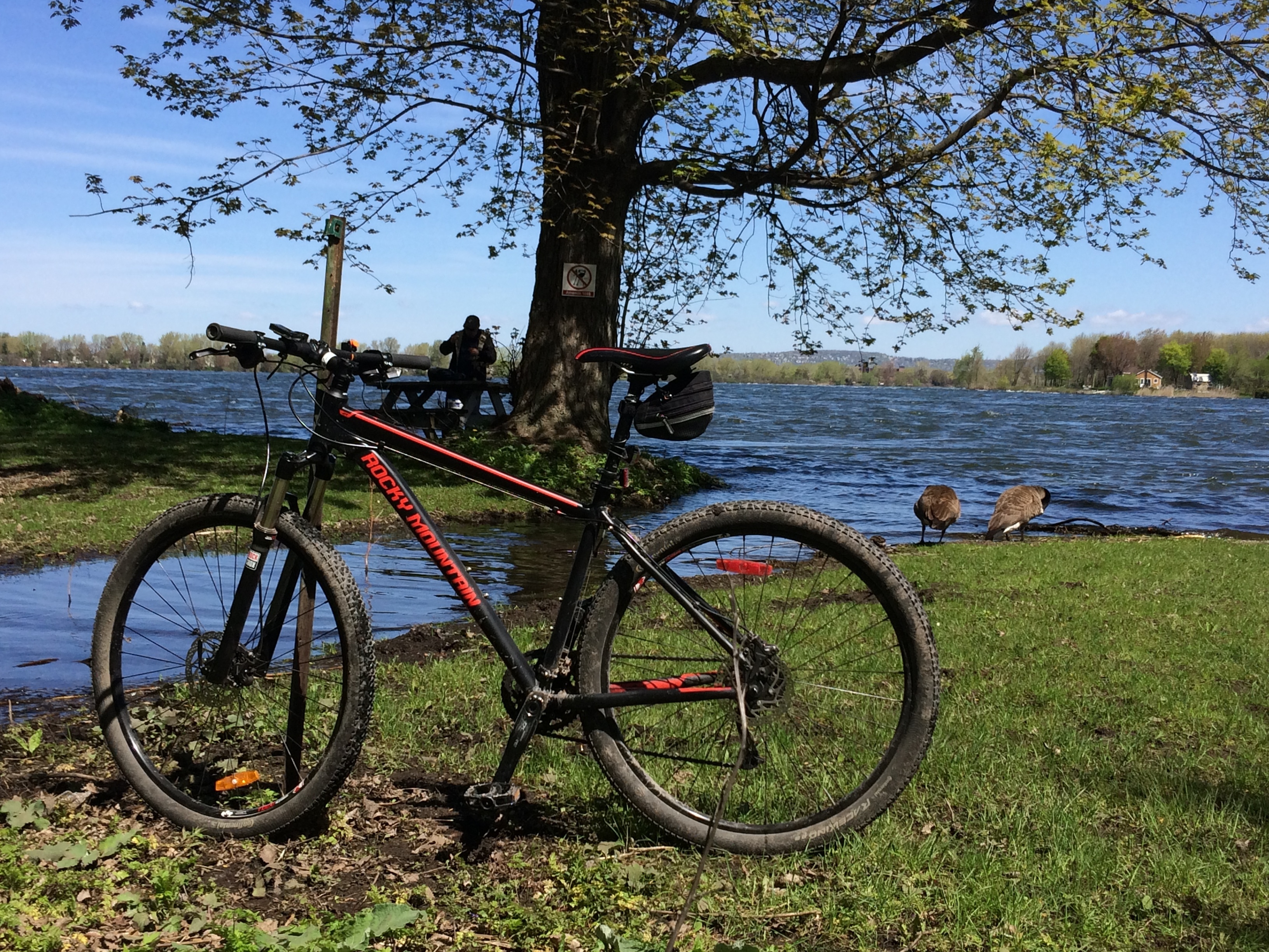 rocky mountain fusion 29