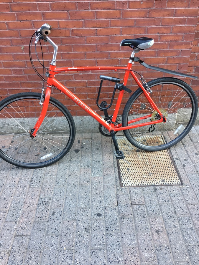 bianchi cortina 2020