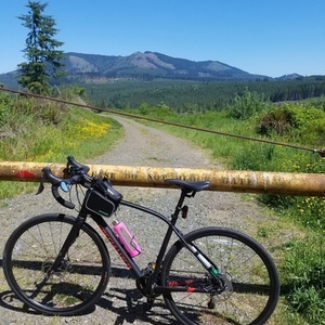 2017 Specialized Diverge DSW Black and Red