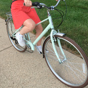 2016 Schwinn Teal and Brown