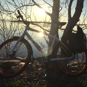 2012 SCOTT SUB 10 White and Red