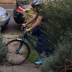 2016 Islabikes Beinn 26 small Teal