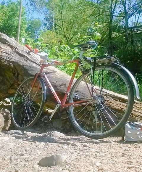 8 speed rear cassette