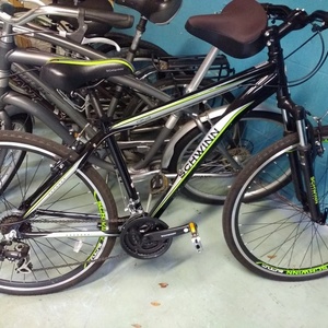 Schwinn Black, Green, and White