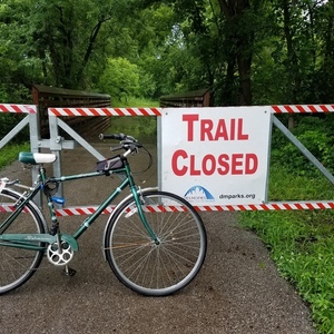 2015 Schwinn Green