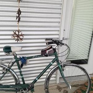 2015 Schwinn Green