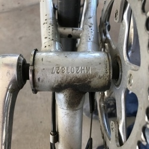 1983 Fuji Supreme Silver, gray or bare metal