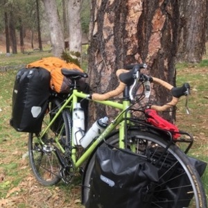 2014 Surly Cross-Check Green