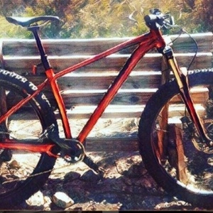 2016 Specialized Red