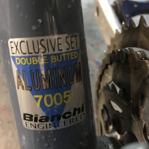 2006 Bianchi Boardwalk Silver, gray or bare metal