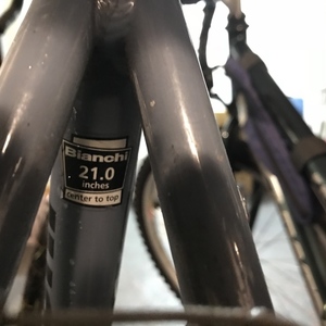 2006 Bianchi Boardwalk Silver, gray or bare metal