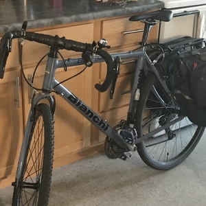 2006 Bianchi Boardwalk Silver, gray or bare metal