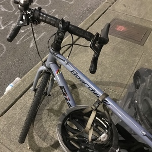 2006 Bianchi Boardwalk Silver, gray or bare metal